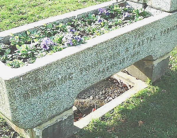 Rail Album for railway and other photographs