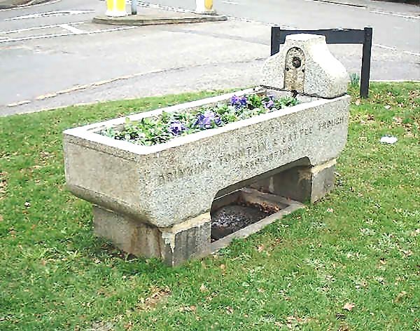 Rail Album for railway and other photographs