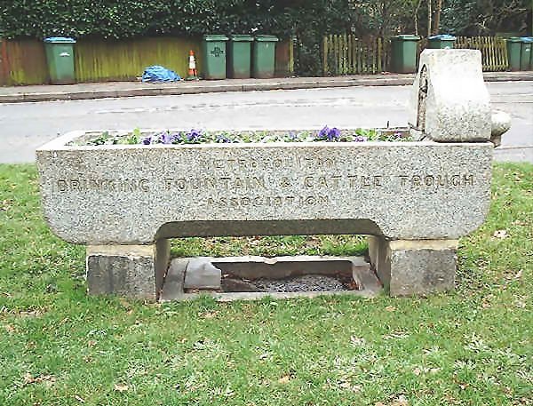 Rail Album for railway and other photographs