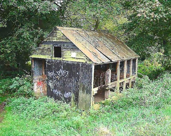 Rail Album for railway and other photographs