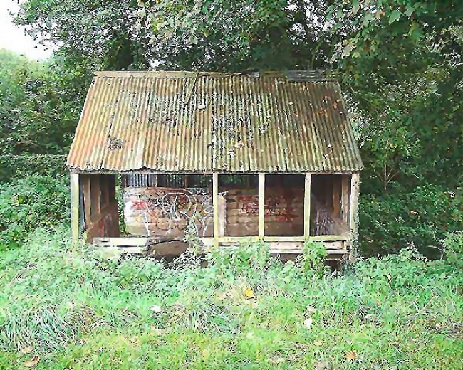 Rail Album for railway and other photographs