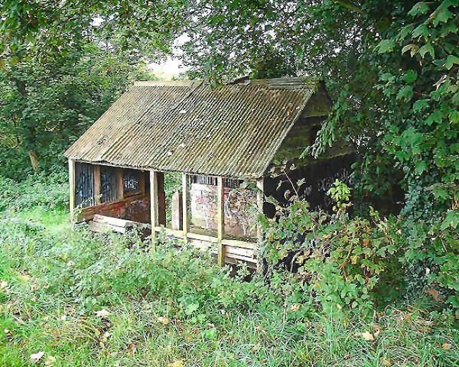 Rail Album for railway and other photographs