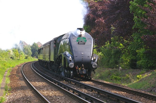 Rail Album for railway and other photographs